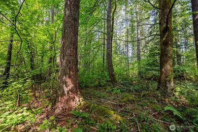 4027 Dent Road SW, Olympia, WA 98512 - Photo 12