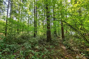 4027 Dent Rd SW, Olympia, WA 98512 - Photo 16