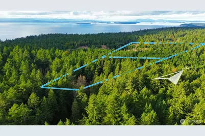 705 Mt Dallas Road, Friday Harbor, WA 98250 - Photo 20