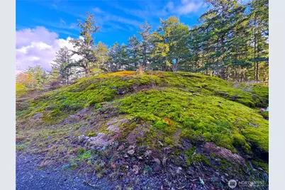705 Mt Dallas Road, Friday Harbor, WA 98250 - Photo 4