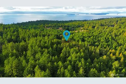 705 Mt Dallas Road, Friday Harbor, WA 98250 - Photo 18