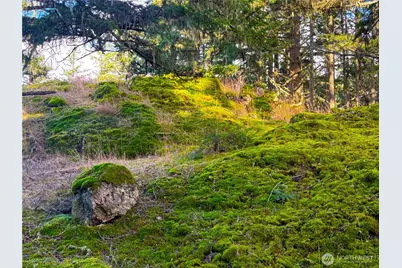 705 Mt Dallas Road, Friday Harbor, WA 98250 - Photo 22