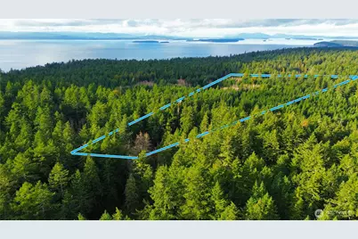 705 Mt Dallas Road, Friday Harbor, WA 98250 - Photo 24