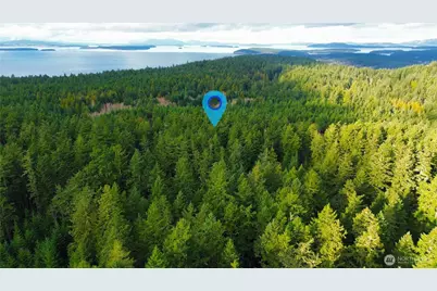 705 Mt Dallas Road, Friday Harbor, WA 98250 - Photo 16