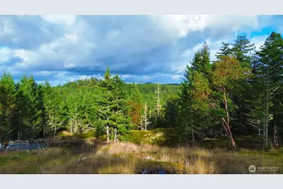 705 Mt Dallas Road, Friday Harbor, WA 98250 - Photo 1