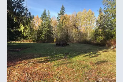 39618 E Meridian, Eatonville, WA 98328 - Photo 32