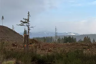 1 Xx West California Rd, Shelton, WA 98584 - Photo 4