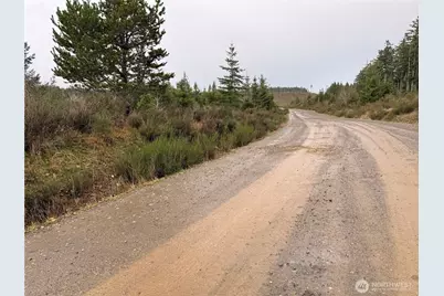 1 Xx West California Road, Shelton, WA 98584 - Photo 12