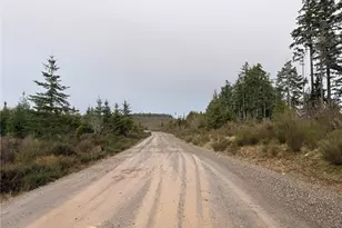 1 Xx West California Rd, Shelton, WA 98584 - Photo 1