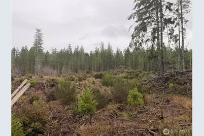 10 Xx E Shetland Road, Shelton, WA 98584 - Photo 8