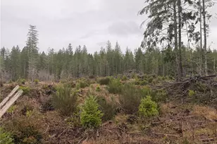 10 Xx E Shetland Rd, Shelton, WA 98584 - Photo 8