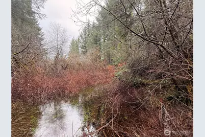 10 Xx E Shetland Road, Shelton, WA 98584 - Photo 6