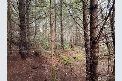 10 Xx E Shetland Road, Shelton, WA 98584 - Photo 10