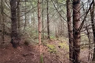 10 Xx E Shetland Rd, Shelton, WA 98584 - Photo 10