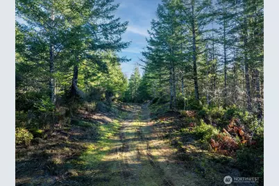 10 Xx E Shetland Road, Shelton, WA 98584 - Photo 2