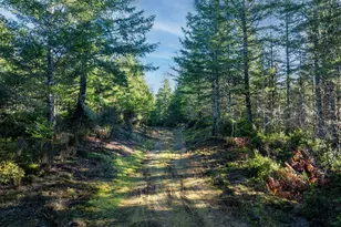 10 Xx E Shetland Rd, Shelton, WA 98584 - Photo 2