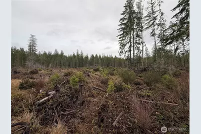 10 Xx E Shetland Road, Shelton, WA 98584 - Photo 14