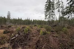 10 Xx E Shetland Rd, Shelton, WA 98584 - Photo 14