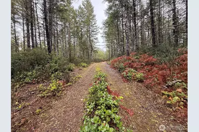 10 Xx E Shetland Road, Shelton, WA 98584 - Photo 1