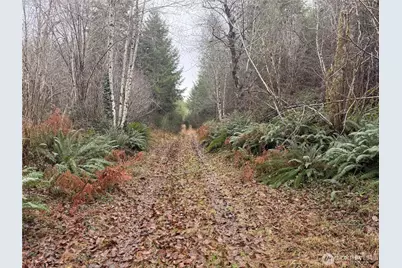 10 Xx E Shetland Road, Shelton, WA 98584 - Photo 16