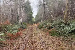 10 Xx E Shetland Rd, Shelton, WA 98584 - Photo 16