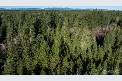 10 Xx E Shetland Road, Shelton, WA 98584 - Photo 18