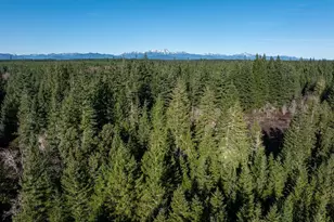 10 Xx E Shetland Rd, Shelton, WA 98584 - Photo 18