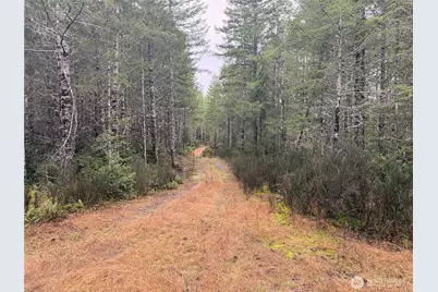 10 Xx E Shetland Road, Shelton, WA 98584 - Photo 6