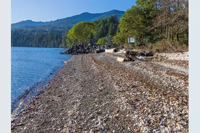 81 Seamount Drive, Brinnon, WA 98320 - Photo 36