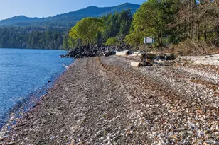 81 Seamount Dr, Brinnon, WA 98320 - Photo 36