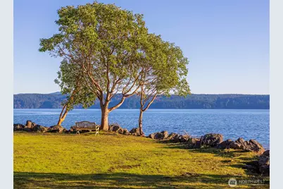 81 Seamount Drive, Brinnon, WA 98320 - Photo 34