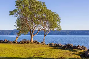 81 Seamount Dr, Brinnon, WA 98320 - Photo 34