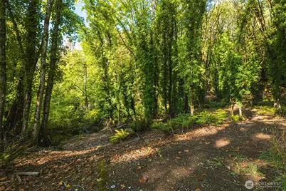 9011 Dana Drive NW, Gig Harbor, WA 98332 - Photo 14