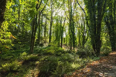 9011 Dana Drive NW, Gig Harbor, WA 98332 - Photo 16