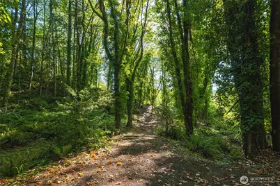 9011 Dana Drive NW, Gig Harbor, WA 98332 - Photo 6