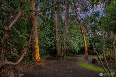 11029 Totem Pole Lane, Woodway, WA 98020 - Photo 36