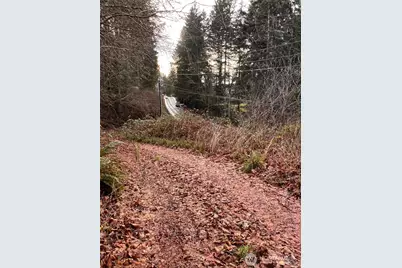 3841 E State Route 302, Belfair, WA 98528 - Photo 6