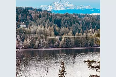 3841 E State Route 302, Belfair, WA 98528 - Photo 10