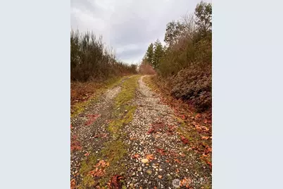 3841 E State Route 302, Belfair, WA 98528 - Photo 8