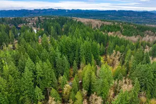 32218 NE 193rd St, Duvall, WA 98019 - Photo 36