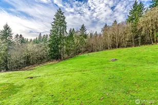 303 Shadow Mt Rd, Silverlake, WA 98645 - Photo 38