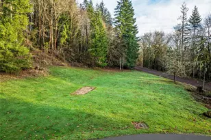 303 Shadow Mt Rd, Silverlake, WA 98645 - Photo 30