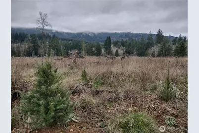 0 Summit Lake Road, Olympia, WA 98502 - Photo 4