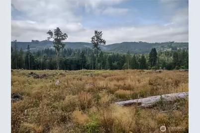 0 Summit Lake Road, Olympia, WA 98502 - Photo 1