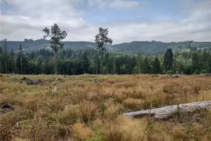 0 Summit Lake Rd, Olympia, WA 98502 - Photo 1