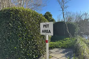 10203 47th Ave SW, Seattle, WA 98146 - Photo 32