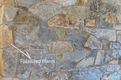 7747 37th Avenue NE, Seattle, WA 98115 - Photo 8