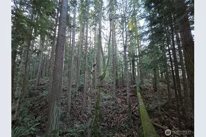 276261 Highway 101, Sequim, WA 98382 - Photo 30