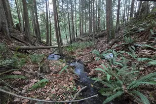 276261 Hwy 101, Sequim, WA 98382 - Photo 32