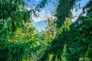 16208 SE 33rd Cir, Bellevue, WA 98008 - Photo 16